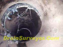 www.drainsurveyor.com_tree roots in drain